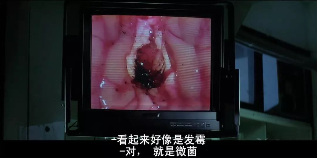 刘昊然双生姐妹,刘昊然和妹妹