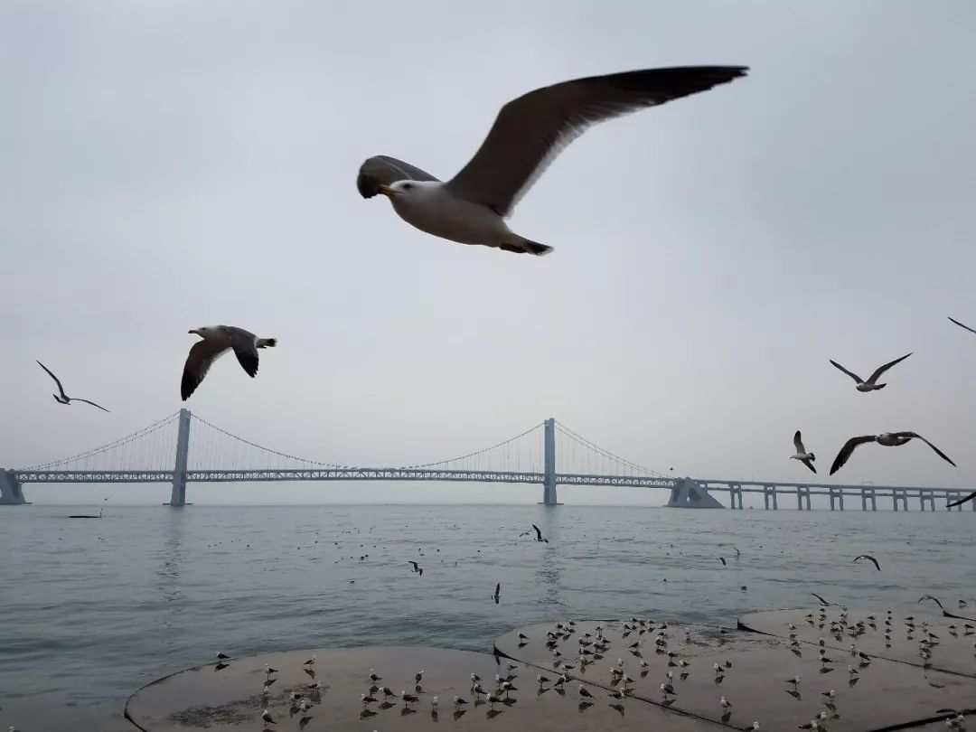 如何用snapseed提高画质,比snapseed还好用