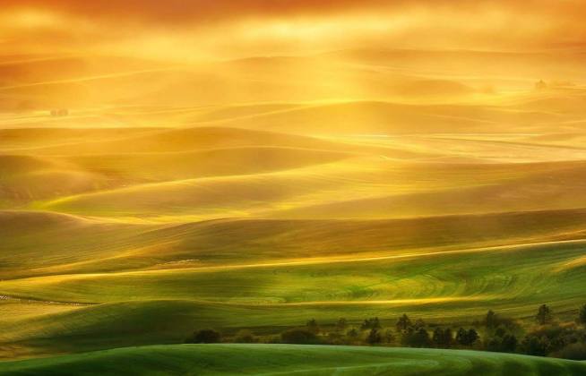 十二星座有多爱换头像,不开心就喜欢换头像的星座