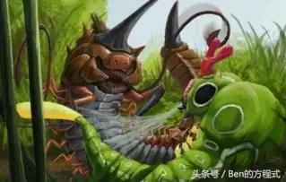 盘点神奇宝贝动漫,动画版神奇宝贝漫画特别篇解说