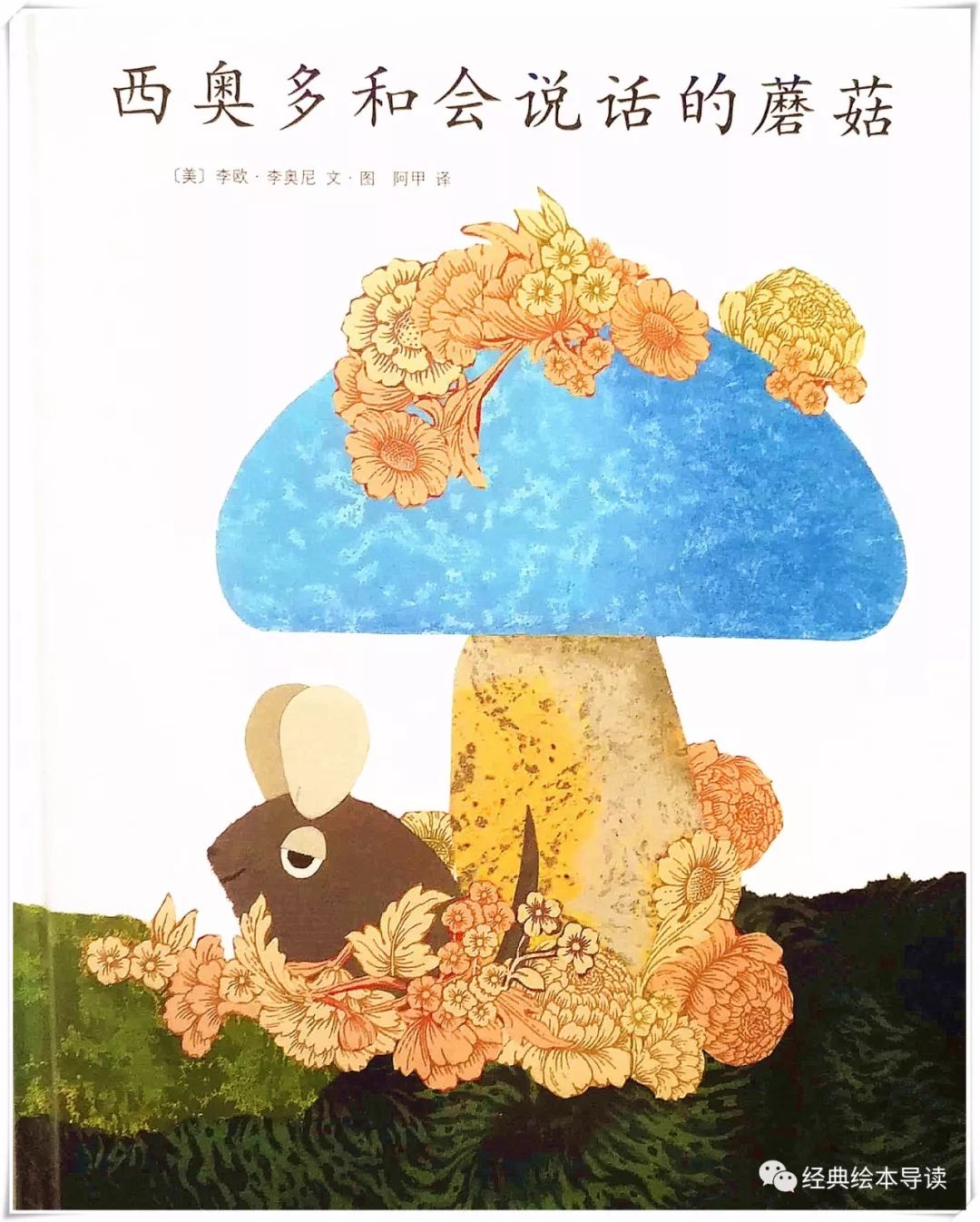 诚实地做最好的自己—《西奥多和会说话的蘑菇》导读