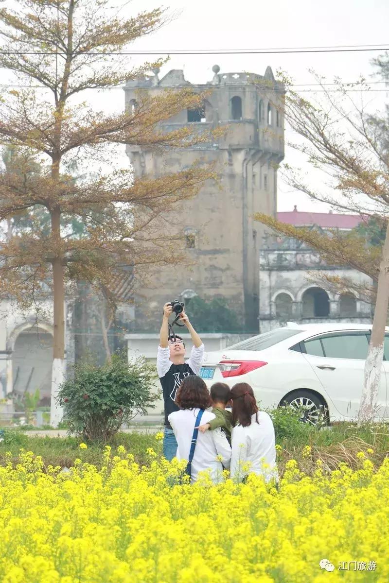 佛山南海赏油菜花,佛山南海油菜花田旅游景点