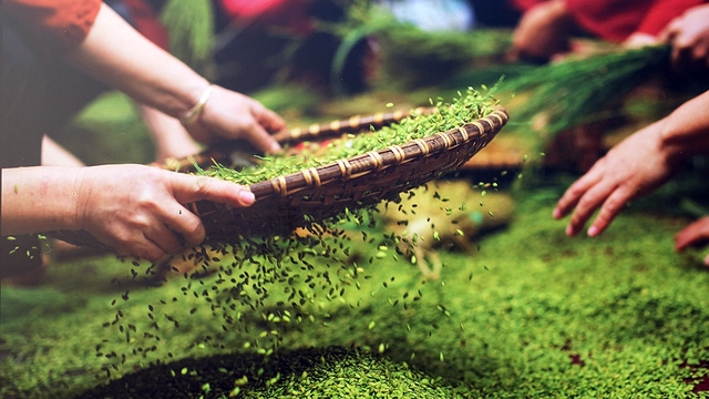 河内特色美食一条街,河内米其林美食推荐