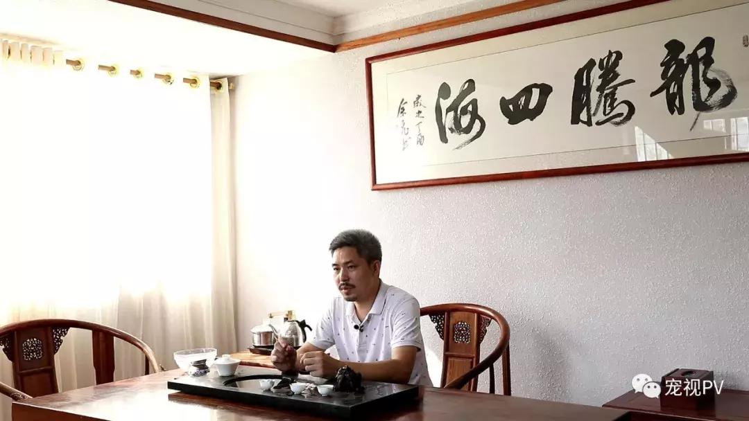 驯龙怎么让龙饿得快,如何让龙鱼改口吃饲料