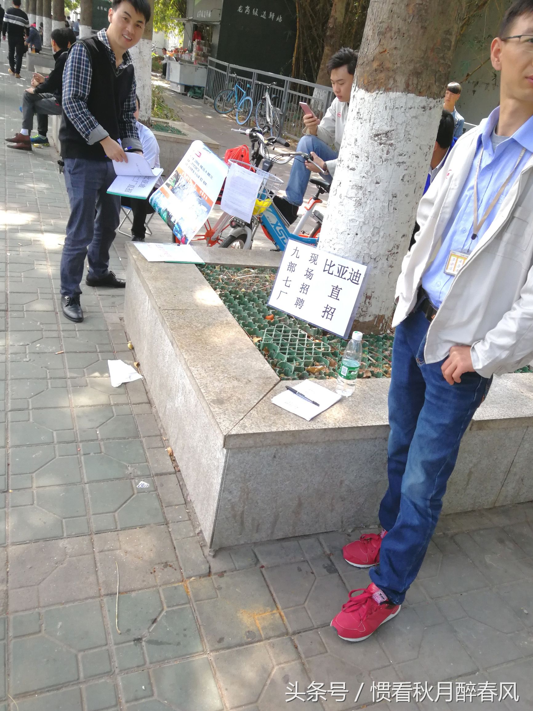 深圳市龙岗区宝龙比亚迪招工直播,宝龙比亚迪招聘排队