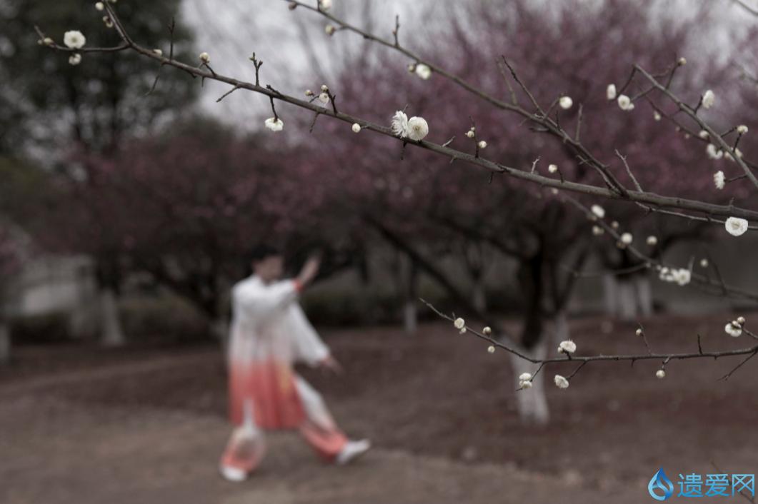 宝剑锋从磨砺出梅花香自活寒来,论宝剑锋从磨砺出梅花香自苦寒来