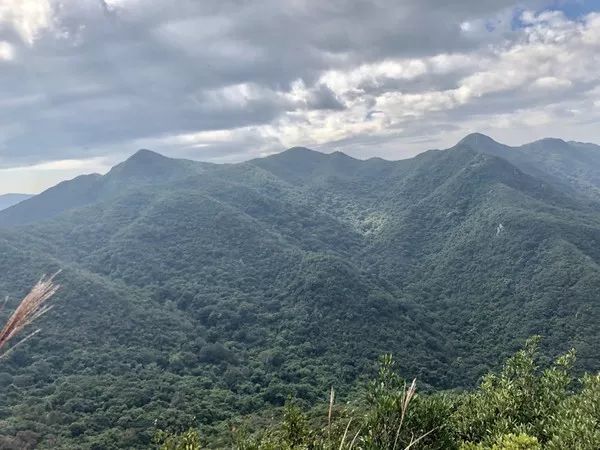 深圳春游十大好去处要门票,深圳春游亲子最佳去处