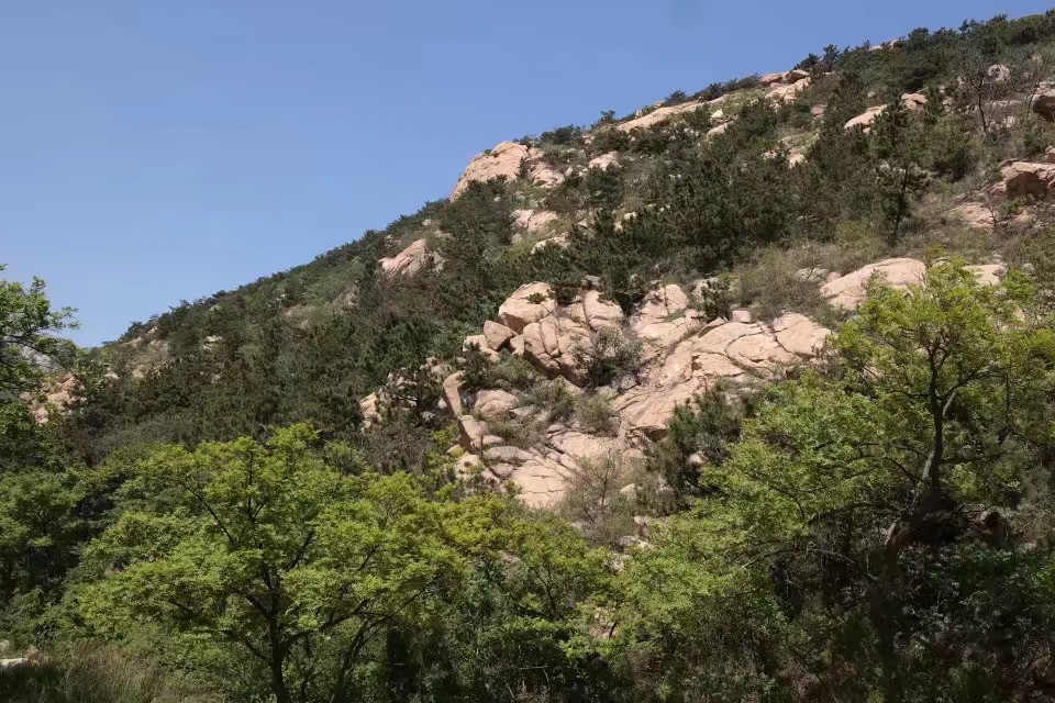 专科过后人生该怎么走,专科人生发展道路