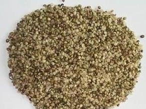 广西巴马长寿乡之旅,广西巴马长寿之乡位置