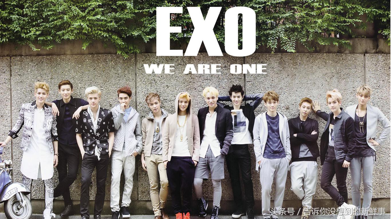 exo鹿晗解约事件,鹿晗经纪人杨天真个人资料介绍