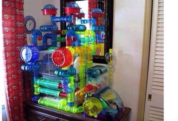 怎样仓鼠才会不咬笼鼠的手,怎样防止仓鼠咬笼子的底盆