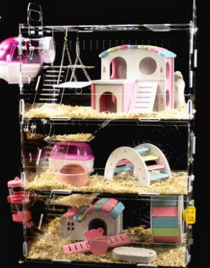 怎样仓鼠才会不咬笼鼠的手,怎样防止仓鼠咬笼子的底盆