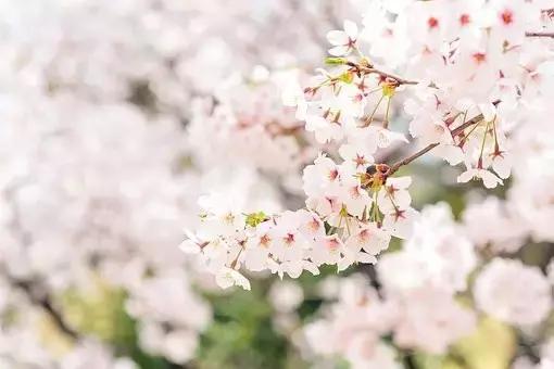 古代有趣的诗,脑洞大开的诗