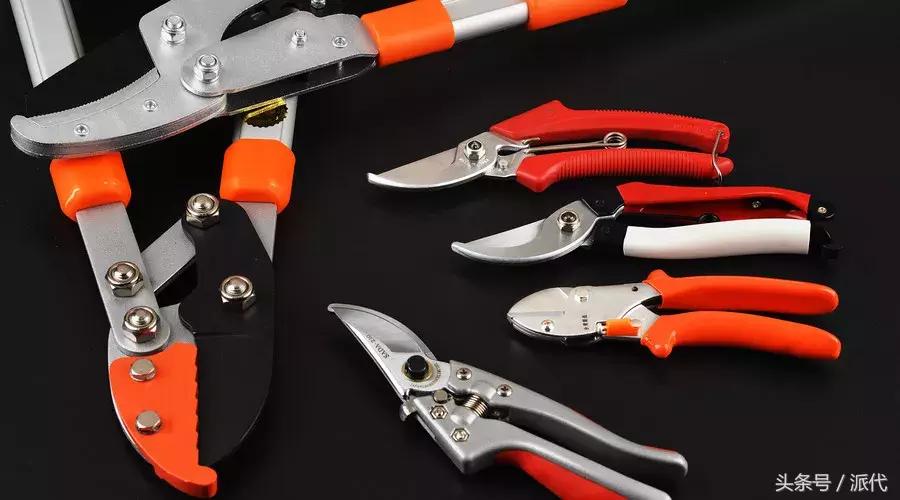 中国的菜刀在国外有多火爆,中国菜刀为什么在国外很火