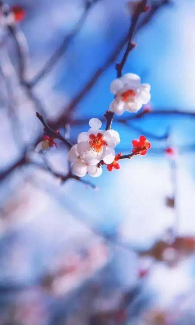 古代有趣的诗,脑洞大开的诗