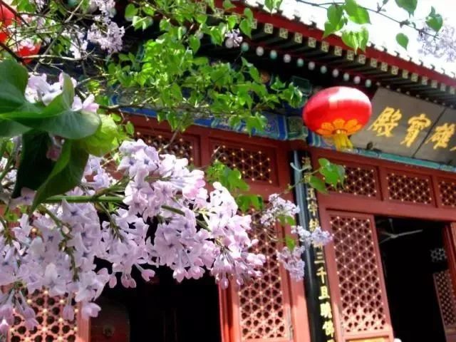 期盼已久的地铁线全线贯通,即将通车的5条地铁线