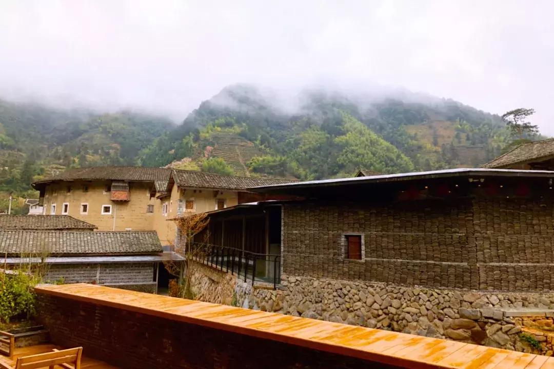 法国归来的插画师也难逃这片山林“诱惑”，夏天还想来看萤火虫