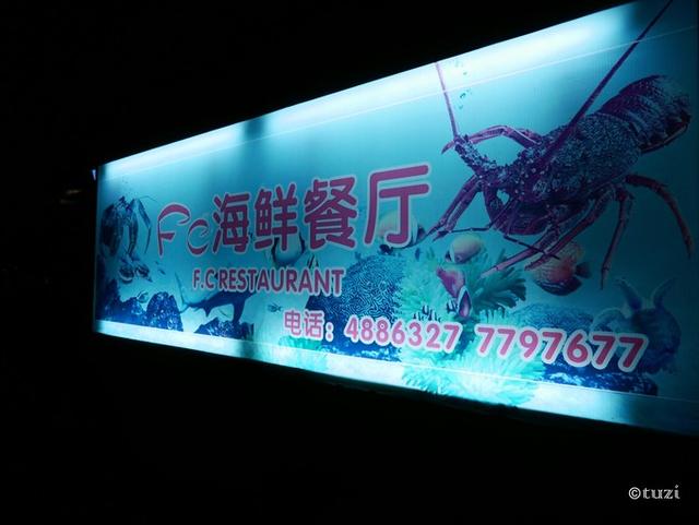 帕劳出行攻略详细,帕劳群岛隐藏攻略