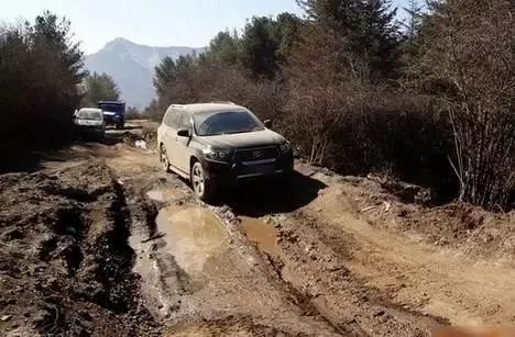 广东人会说不会写的315个粤语字,90%老广都不会写的粤语生僻字