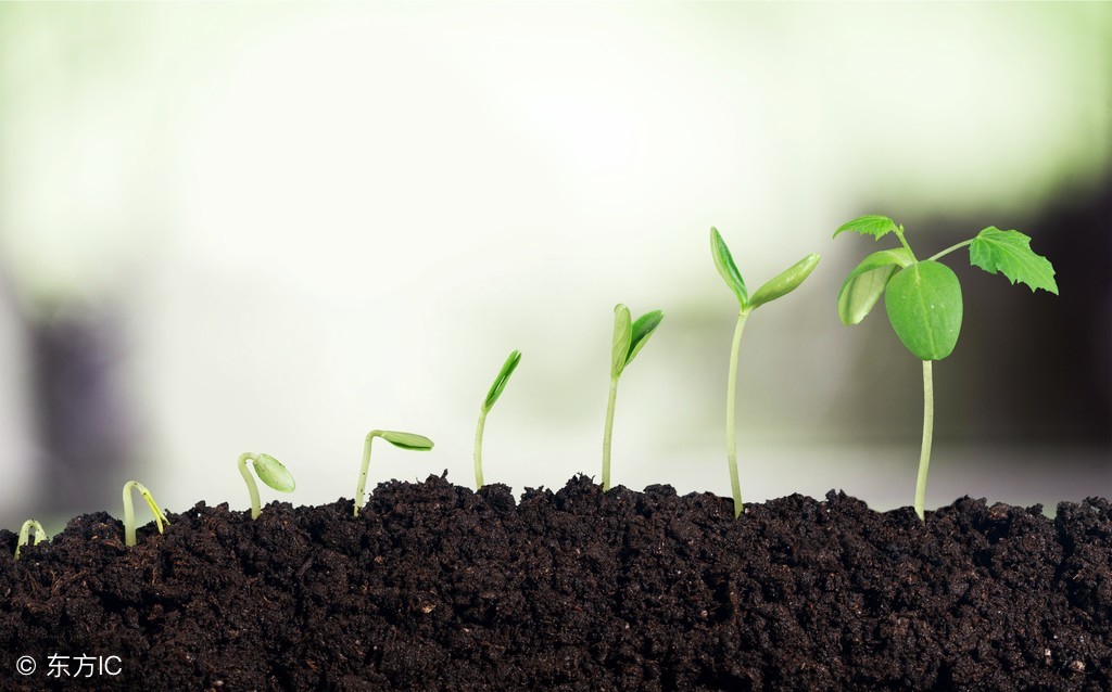 春耕育苗技术视频教程,种植技术催芽