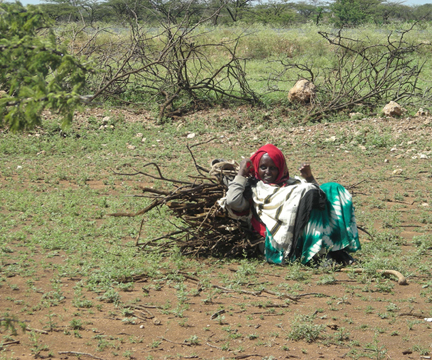 “该亚”计划：微小的公益之举，造福的是世界的当今与未来