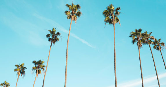 玩雪时帅气上司叫我去办公室,以为受批评他却端杯姜茶说:快暖暖