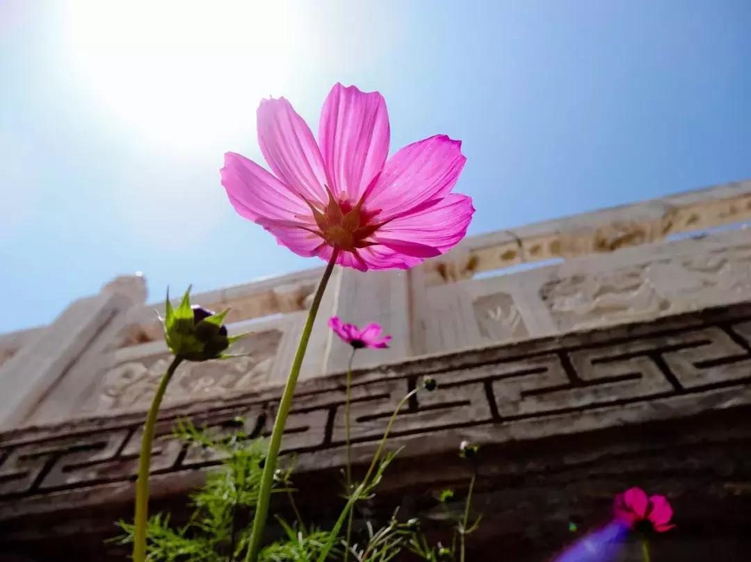 自驾游怎么穿越雪谷,自驾穿越雪地雾凇视频