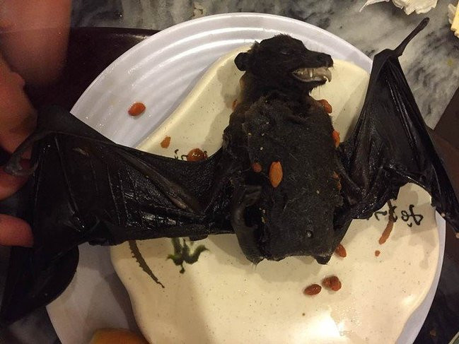 帕劳出行攻略详细,帕劳群岛隐藏攻略