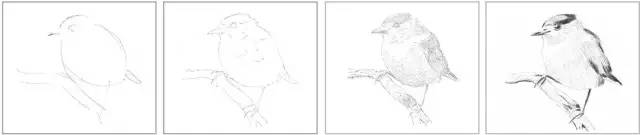 国画素描教程零基础入门,零基础学素描初学者入门教学