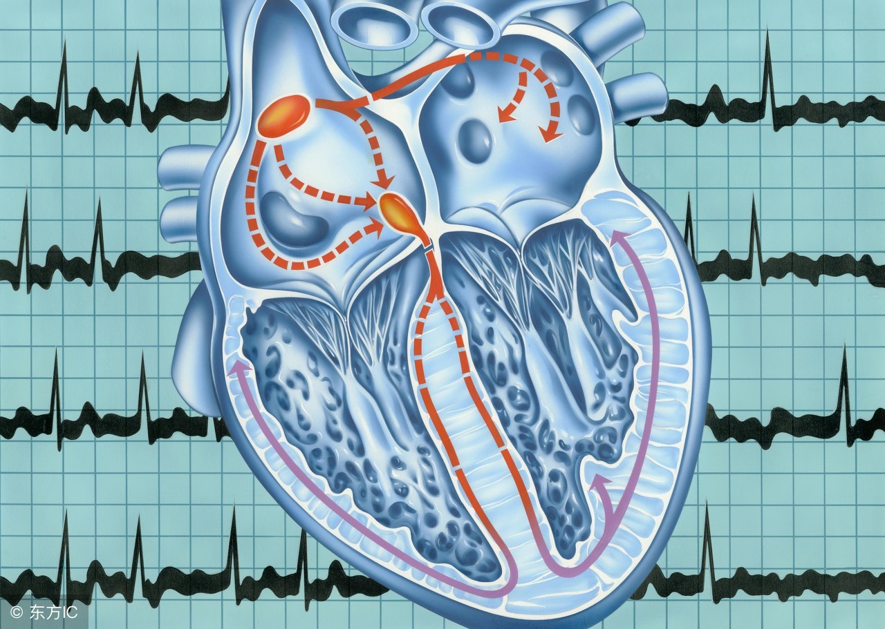 更年期心悸心慌如何缓解,更年期引起的心悸心慌怎么办