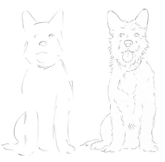 国画素描教程零基础入门,零基础学素描初学者入门教学