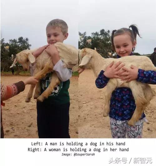 绁炵粡缃戠粶浼氬嚭閿欏悧,绁炵粡浜轰細姊﹀埌鐢靛瓙缇婂悧