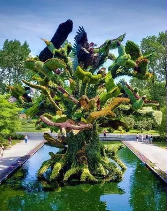 11月4,有群的都看看,太美了,这一辈子见一次值了!