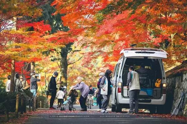 旅游签证被拒护照怎么刷白,旅游签证被拒签怎么办理护照