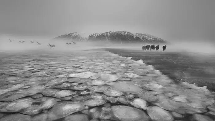 2018年全球华人摄影十杰,中国第18届国际摄影展入围作品