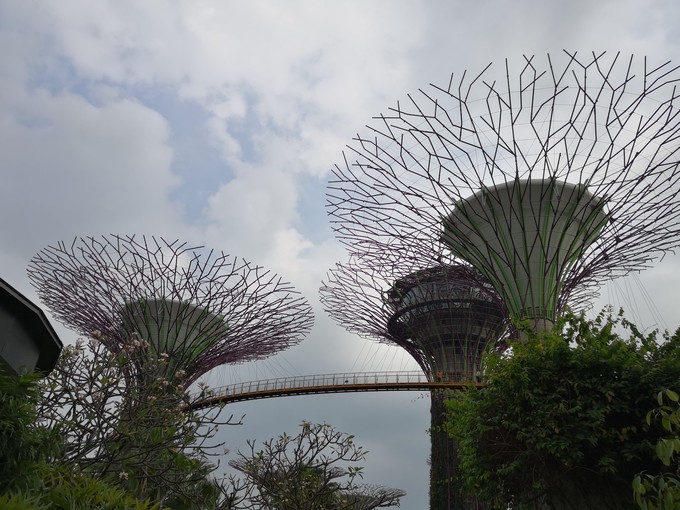 春节新加坡6天5晚亲子游,新加坡亲子游2017