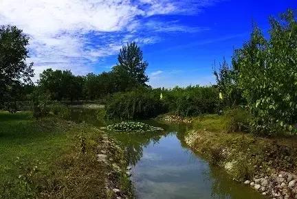 北京各区16处免费森林公园,森林公园北京有几个