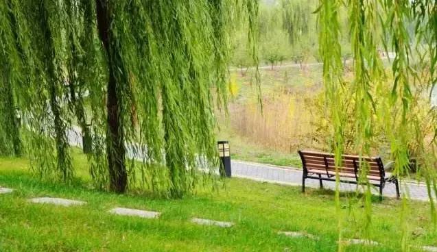 北京各区16处免费森林公园,北京最新40个公园