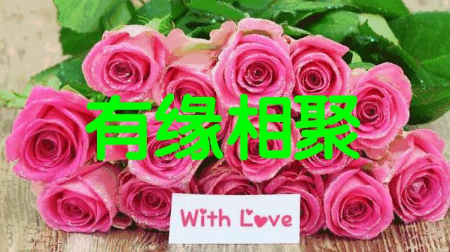 刚出的群主相册,有群的都看看,太美了,这一辈子见一次值了!