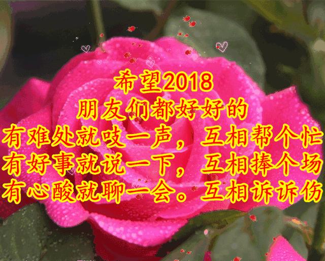 刚出的群主相册,有群的都看看,太美了,这一辈子见一次值了!