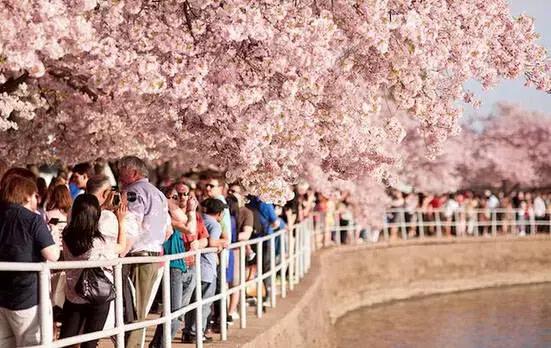 旅游签证被拒护照怎么刷白,旅游签证被拒签怎么办理护照