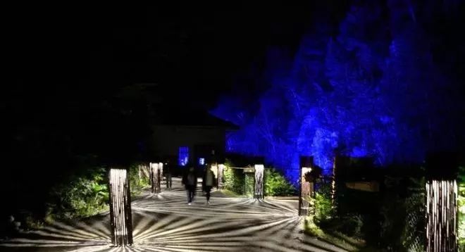 加拿大奇幻森林,加拿大魔法森林风景