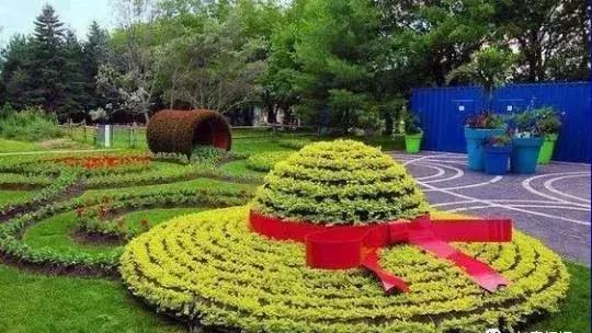 11月4,有群的都看看,太美了,这一辈子见一次值了!