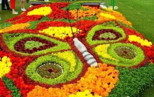 11月4,有群的都看看,太美了,这一辈子见一次值了!