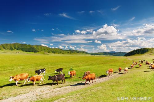 信不信由你｜深仇大恨不是不可以解的，取决能否用真诚来感动对方