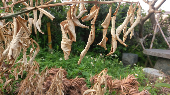 文本直送科技新闻:宏达电旗舰智慧型手机「HTC10」崭新体验,十分完美!