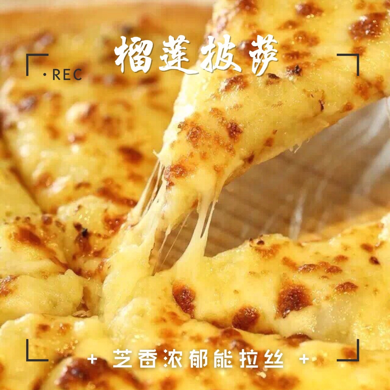 乐凯撒榴莲披萨是什么榴莲,乐凯撒榴莲比萨