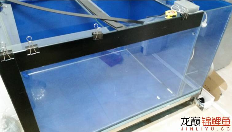 粘锦鲤地缸教程,鱼友锦鲤地缸