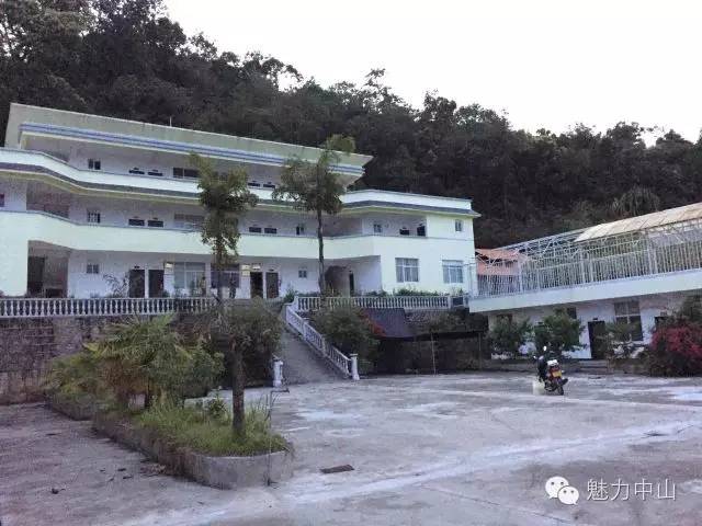 来芒市撒野‖咂蓝莓啖杨梅“二Mei”齐登场