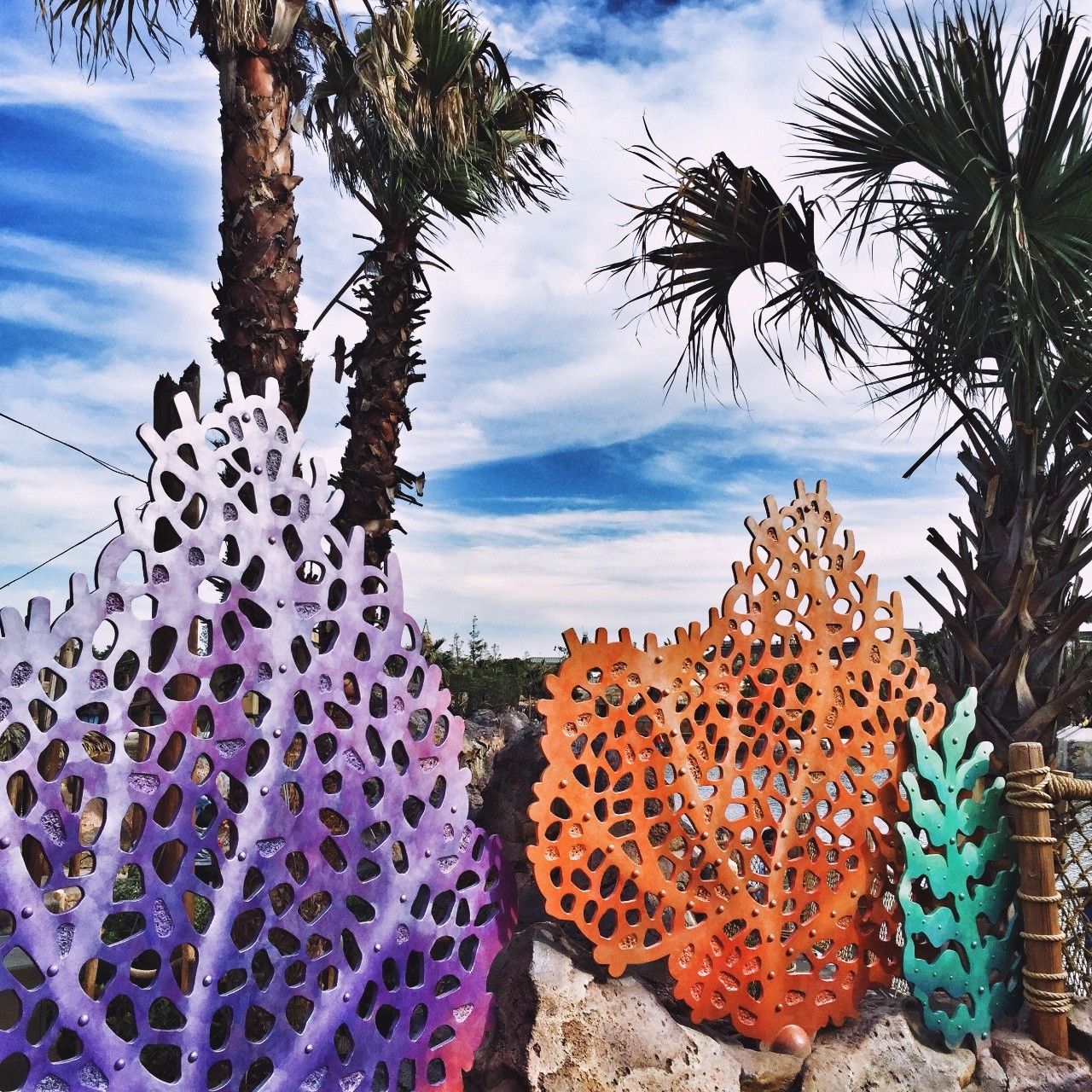 Low逼狗带|仙女仙眼里的上海迪士尼~